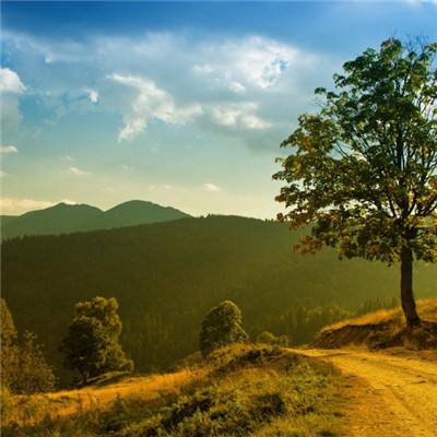 尊龙AG旗舰厅app下载